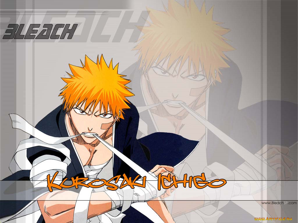 , bleach